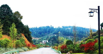 喜訊 | 人文園林榮獲2018年度杭州市優(yōu)秀園林綠化工程評(píng)比三金佳績(jī)