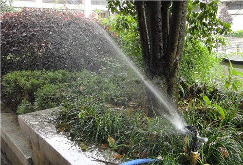 昆明考綠化工證及體育場地設施工程施工指南 難度、費用與準入解析