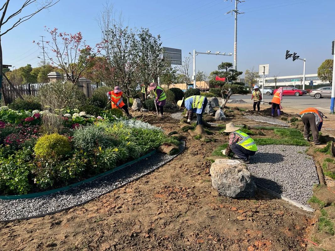 園林綠化工程施工實錄 從藍圖到綠意盎然的現(xiàn)場實踐